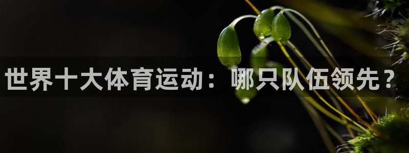 尊龙官方正版app娱乐首页网站大全：世界十大体育运动