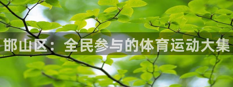 尊龙官方正版app娱乐首页网站大全：邯山区：全民参与