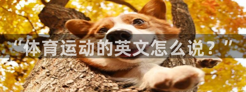 尊龙官网下载招商电话号码查询