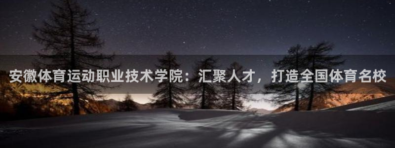 尊龙官方正版app娱乐下载：安徽体育运动职业技术学院