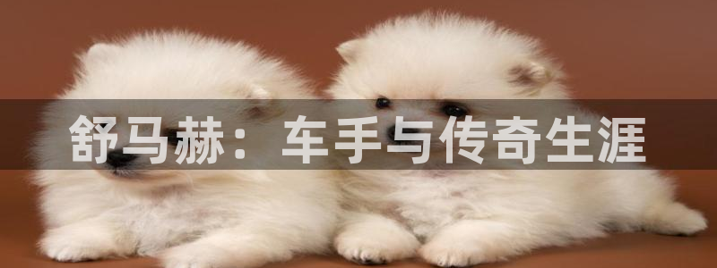 尊龙官网下载平台注册流程图：舒马赫：车手与传奇生涯