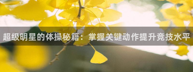 尊龙官方正版app娱乐是那个系列的台子：超级明星的体