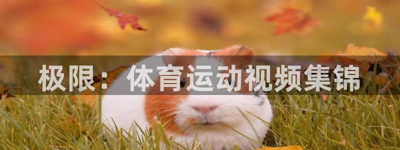 尊龙官网下载招商：极限：体育运动视频集锦