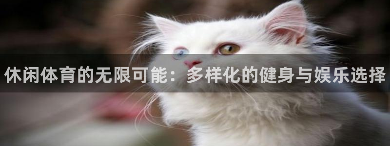 尊龙官方正版app集团官网首页网址：休闲体育的无限可能：多样
