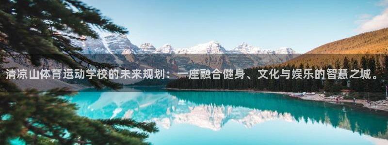 尊龙官网下载平台：清凉山体育运动学校的未来规划：一座融合健身