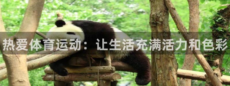 尊龙官网下载招商电话是多少号码：热爱体育运动：让生活