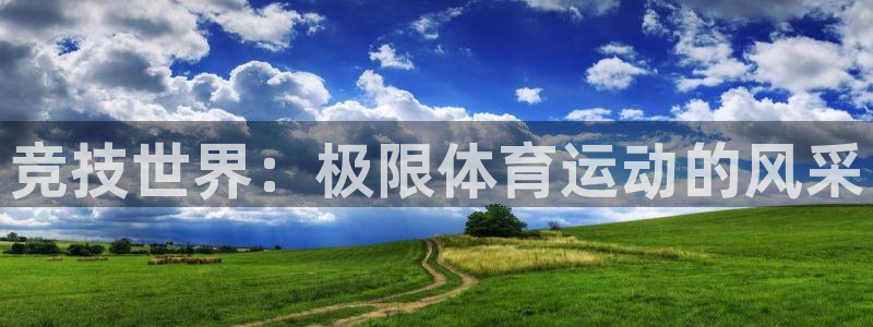 尊龙官方正版app娱乐网站：竞技世界：极限体育运动的