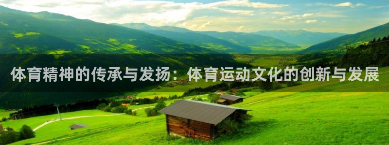尊龙官网下载注册：体育精神的传承与发扬：体育运动文化
