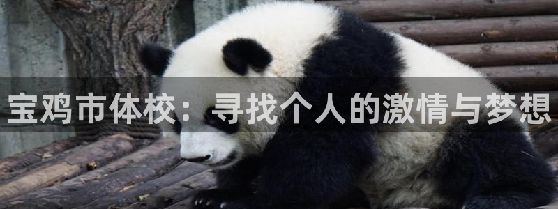 尊龙官网下载软件：宝鸡市体校：寻找个人的激情与梦想