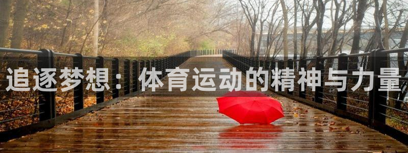尊龙官方正版app集团官网首页网址：追逐梦想：体育运