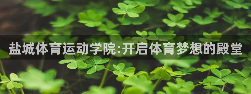 尊龙官方正版app娱乐平台：盐城体育运动学院:开启体