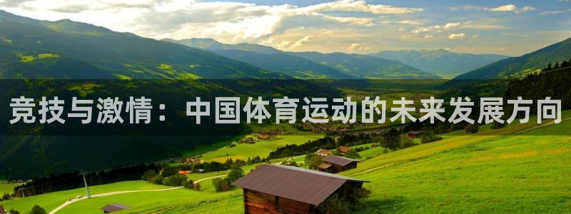 尊龙官网下载平台假的吗是真的吗吗：竞技与激情：中国体