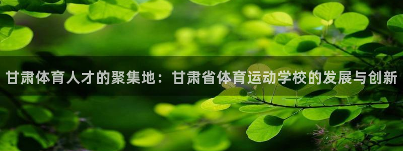 尊龙官网下载娱乐：甘肃体育人才的聚集地：甘肃省体育运动学校的