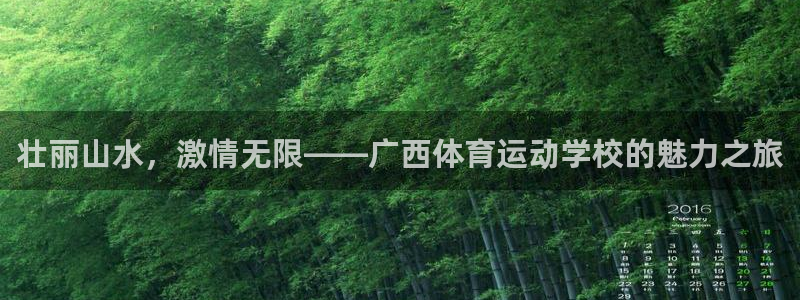 尊龙官方正版app五金厂：壮丽山水，激情无限——广西