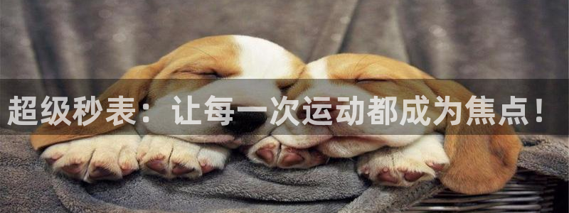 尊龙官方正版app娱乐网站：超级秒表：让每一次运动都