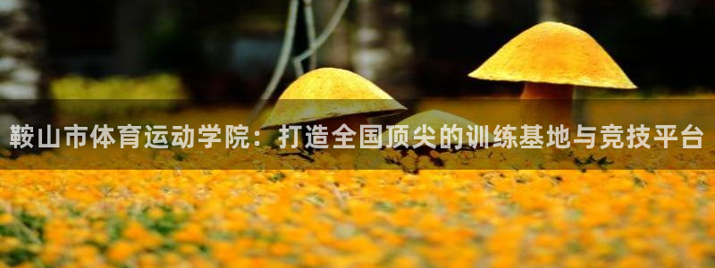 尊龙官网下载平台注册：鞍山市体育运动学院：打造全国顶