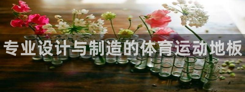 尊龙官方正版app集团：专业设计与制造的体育运动地板