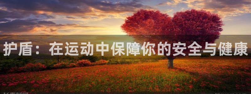 尊龙官方正版app娱乐代理怎么样：护盾：在运动中保障你的安全