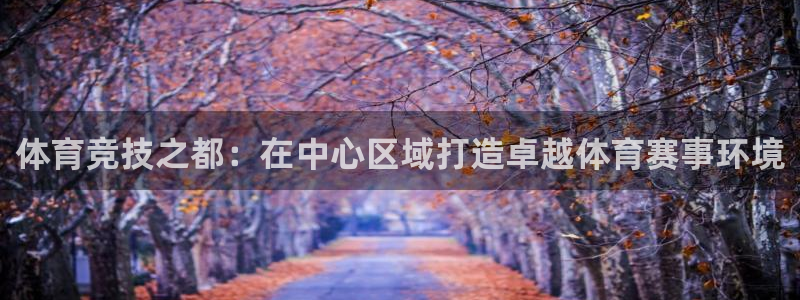 尊龙官网下载平台注册流程图：体育竞技之都：在中心区域