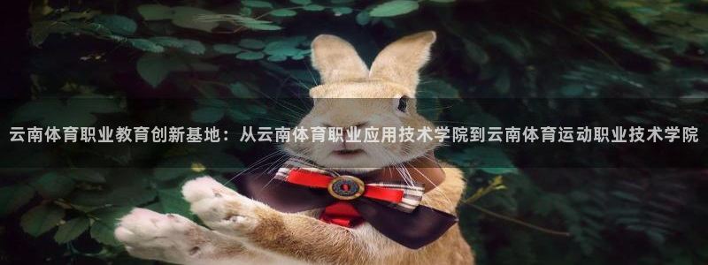 尊龙官方正版app神州：云南体育职业教育创新基地：从云南体育