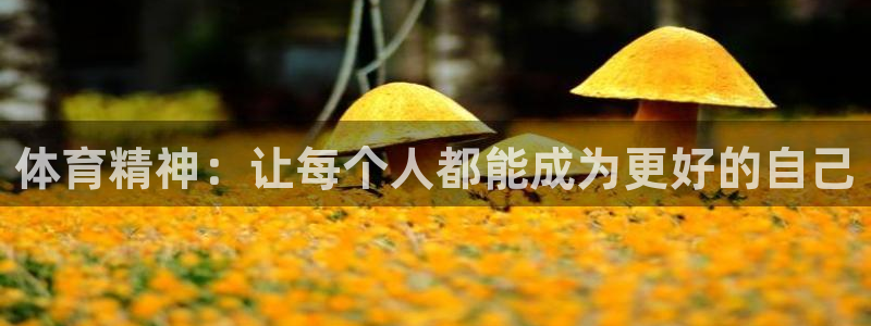 尊龙官方正版app新能源：体育精神：让每个人都能成为更好的自