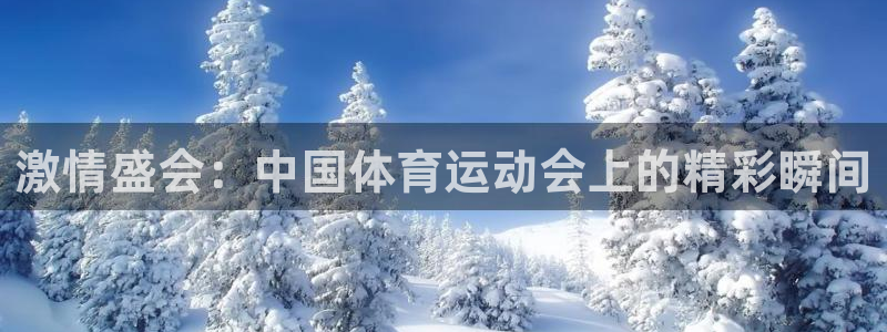 尊龙官网下载招商电话地址：激情盛会：中国体育运动会上