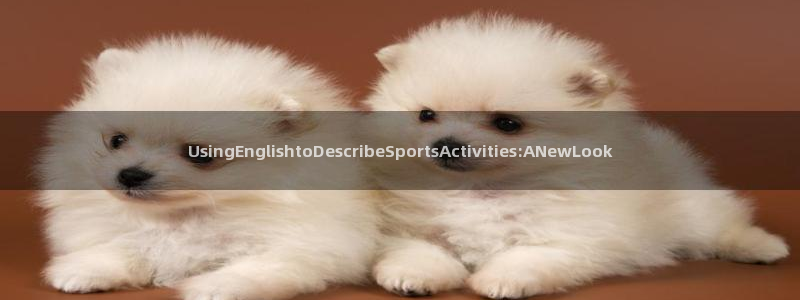 尊龙官网下载招商电话号码是多少：UsingEngli